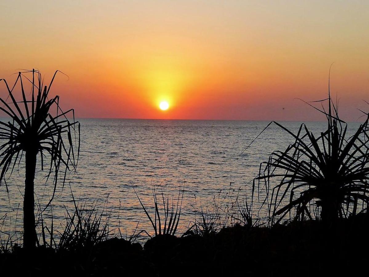 Dundee Beach Holiday Park Dış mekan fotoğraf
